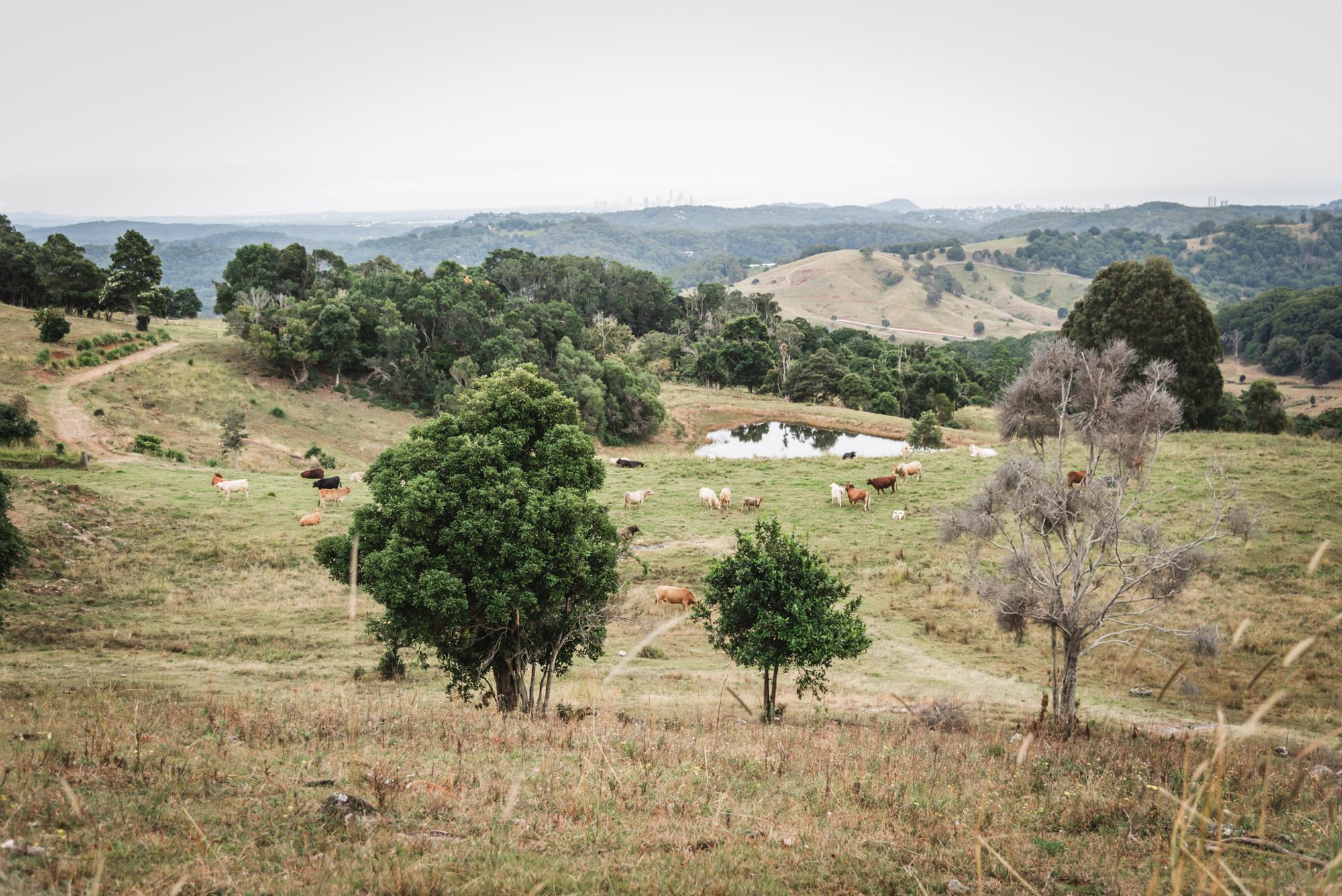 bramblewood farm tipi wedding property